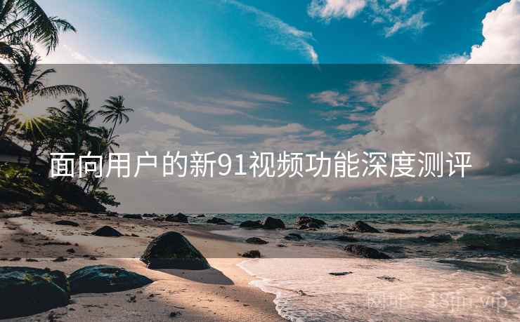 面向用户的新91视频功能深度测评