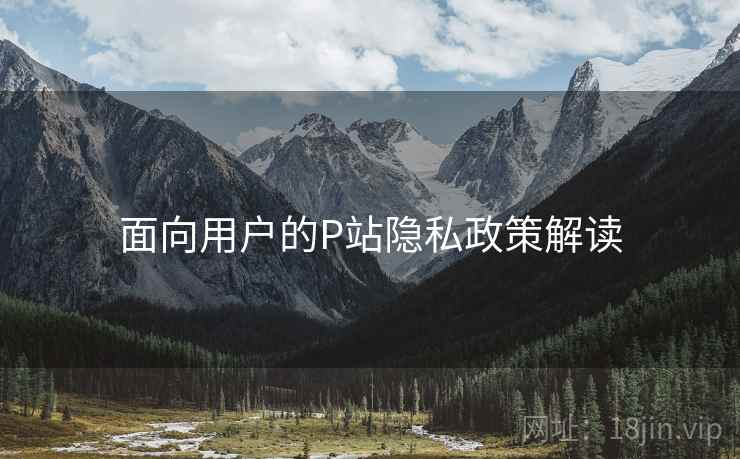 面向用户的P站隐私政策解读