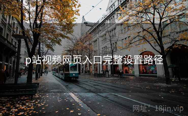p站视频网页入口完整设置路径