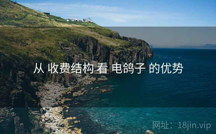 从 收费结构 看 电鸽子 的优势